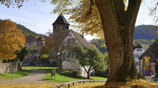 Former monastery of St Peter + Paul, Calw-Hirsau, Black Forest