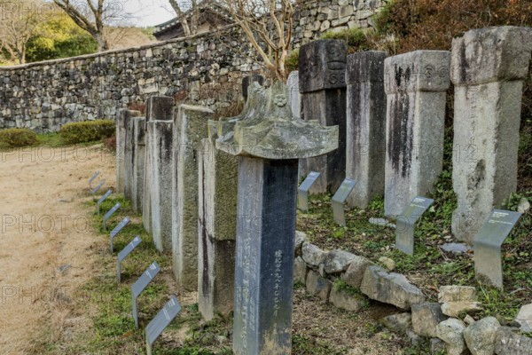 Gochang, South Korea, December 4, 2020: Stone stelae honoring Korean monks with fortress wall in background, Asia