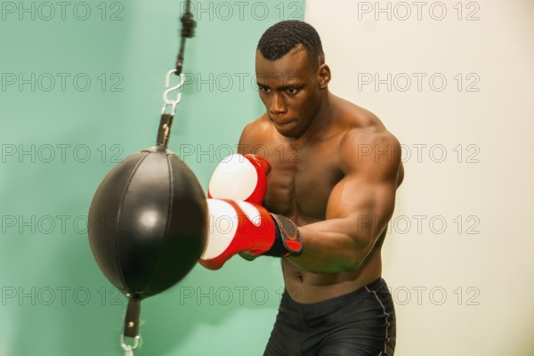 African male boxer punching ball wearing boxing gloves, back profile view