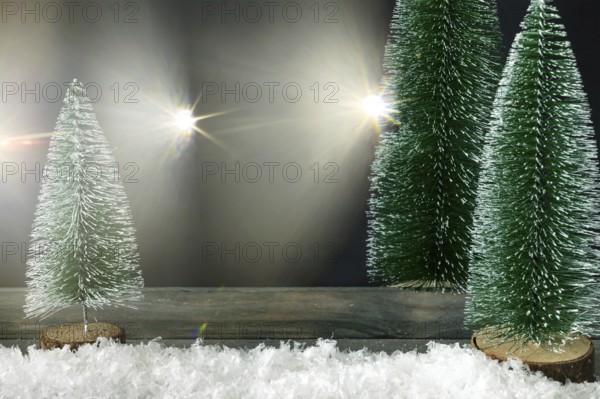 Christmas decoration background with fir trees and light flares
