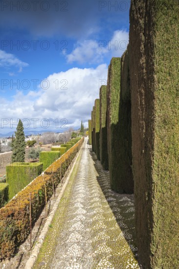 Gardens of La Alhambra in Granada, Spain, Europe