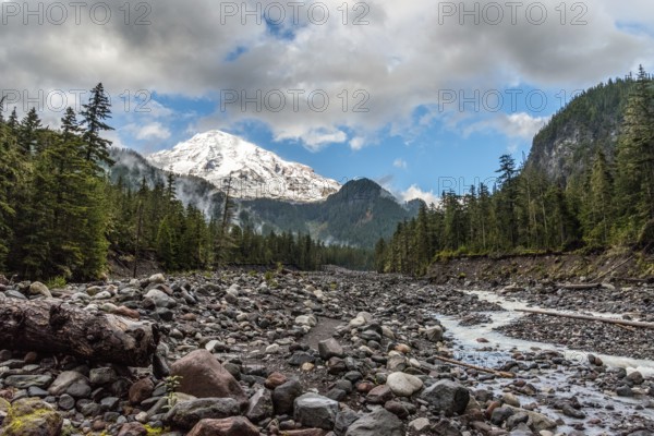 Great view on Mt Rainier from Nisqually river, USA, North America