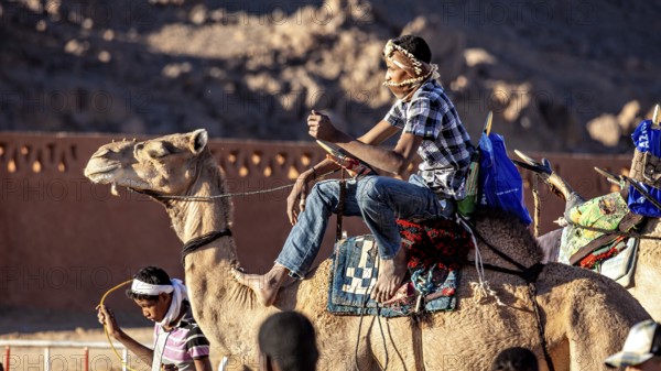 Man riding a camel through the desert, surrounded by mountains, Tuareg camel rider at the Tamanrasset Festival in the Sahara in Algeria