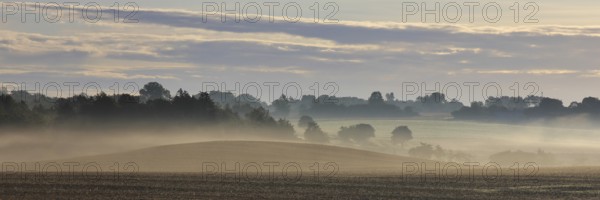 Misty fields on a summer morning in Sjaellan, Denmark, Europe