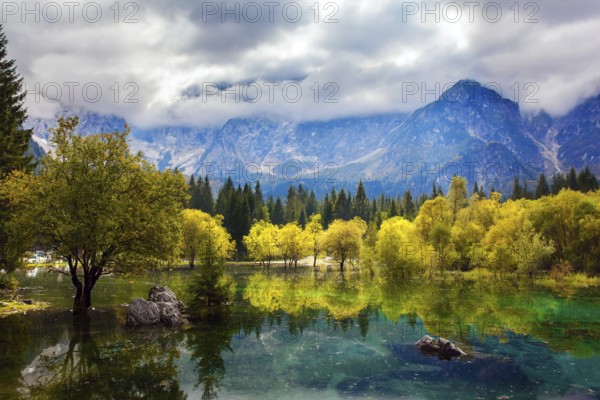 The Dolomites are covered with clouds. Lake Fuzine in Northern Italy. Magnificent colors of autumn. Orange and yellow trees are reflected in the green smooth water