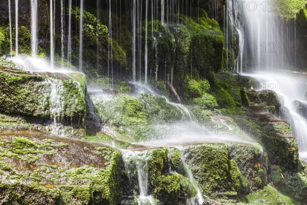 An image of a beautiful waterfall in Tasmania