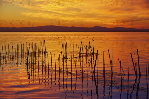 La Albufera lake sunset in El Saler of Valencia at Spain