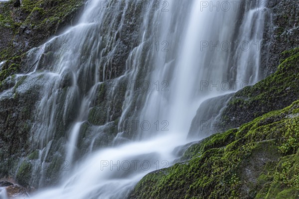 Fresh and beautiful waterfalls in a mountain torrent in spring. La Serva, Champ du feu, Vosges, Alsace, France, Europe