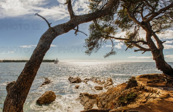 Mediterranean shores of the Ile Sainte Marguerite, Lerins islands, Cote dAzur, Alpes-Maritimes, France, Europe