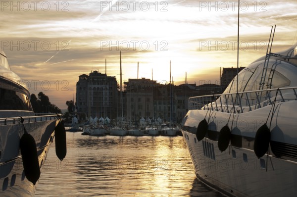 Yachts moored in Cannes at sunset. Cannes bay