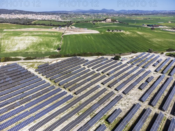 Photovoltaic plant between crop fields, Villafranca de Bonany, Majorca, Balearic Islands, Spain, Europe
