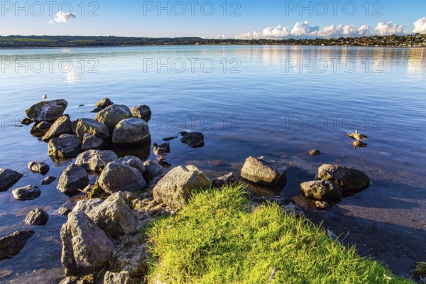 Taupo is the largest lake in New Zealand, North Island. The most popular holiday destinations for tourists. Quiet evening on the lake. Magnificent sunset
