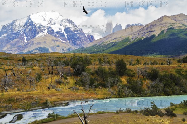 Scenic National Park in southern Chile. River and waterfall Cascades Paine