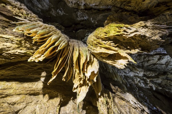 Inside of a beautiful colourful cave. Flowstones, stalactites and stalagmites lighted in different vivid colours