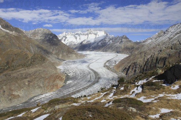 Great Aletsch Glacier