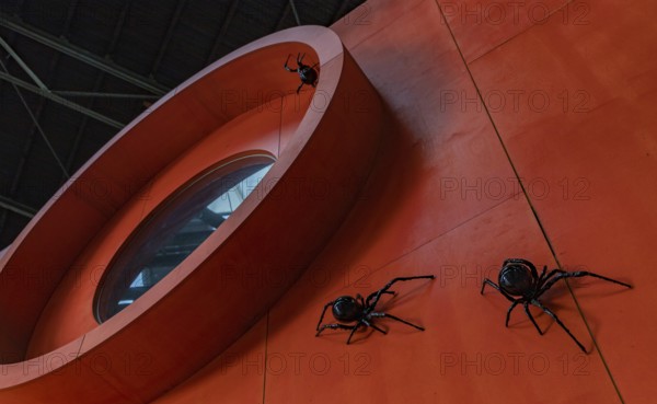 A picture of an art installation with black spiders on display at the NDSM art center