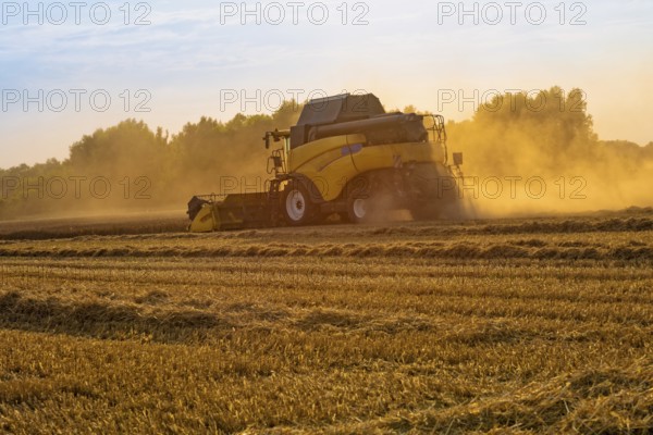 Big combine harvester threshing in the sunset
