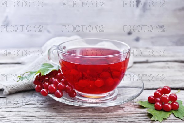 Tea with viburnum in a glass cup, berries and green leaves, burlap on wooden board background