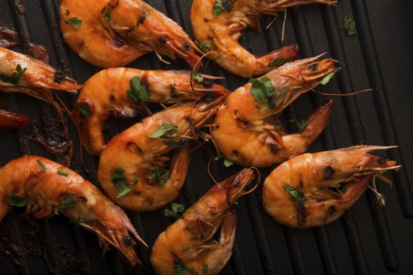 Grilled shrimps with tomato sauce
