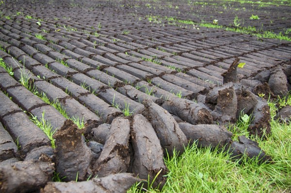 Peat extraction in East Frisia