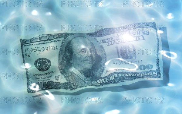 An image of 100 Dollar in the water