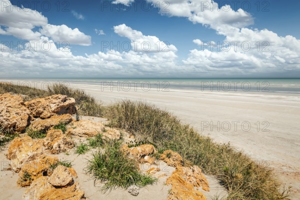 An image of the Eighty Mile Beach in Australia