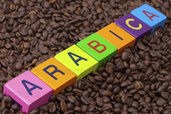 Colored children's cubes and coffee beans - Arabica is the most valuable species of coffee plant, with the most pleasant qualities, representing 59% of world coffee production