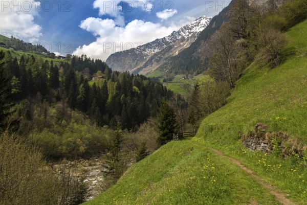 Hiking in South Tyrol
