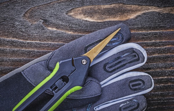 Working safety gloves clippers close up view gardening concept