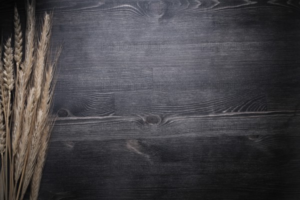 Wheat rye ears on wooden board food and drink concept