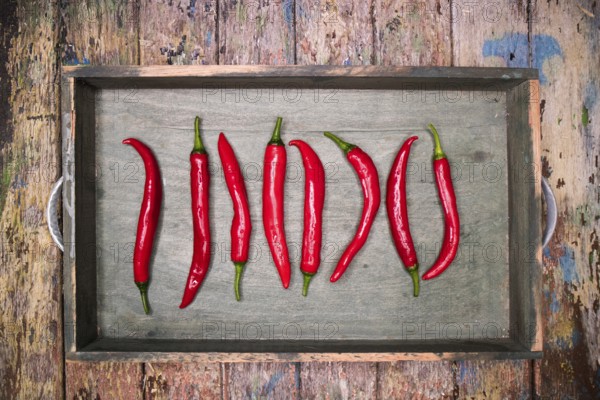 Photographic representation of some spicy and fresh red peppers