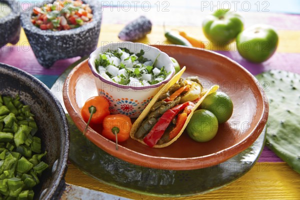 Nopal taco mexican food with chili pepper and ingredients on colorful table
