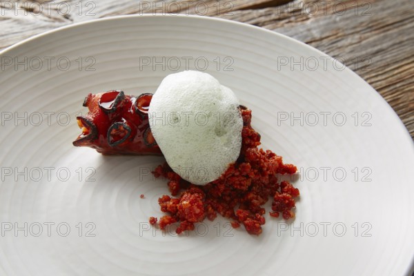 Grilled octopus with parsley air foam served with crunchy chorizo sausage