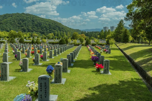Daejeon, South Korea, September 19, 2019: Rows of numbered headstones at national cemetery with high rise in background, Asia