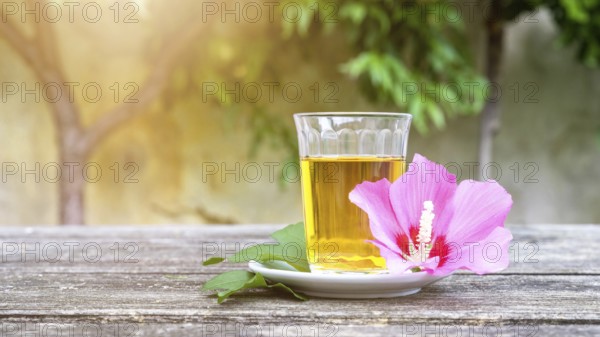 A mallow tea with blossom on old wooden background