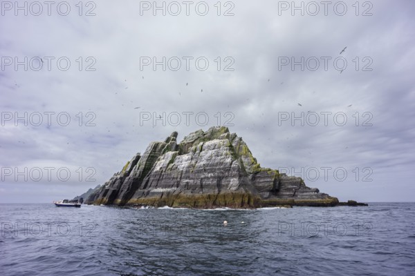 Sceilg Bheag, Skellig Rock Small, Ireland, United Kingdom, Europe