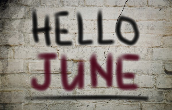 Months Of The Year Concept
