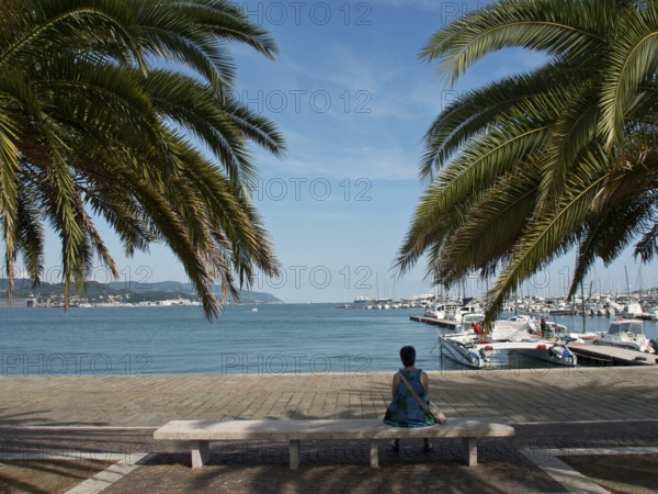 Woman sitting on a bench under palm trees while looking at the sea and the harbour with boats, La Spezia, Italy, Europe