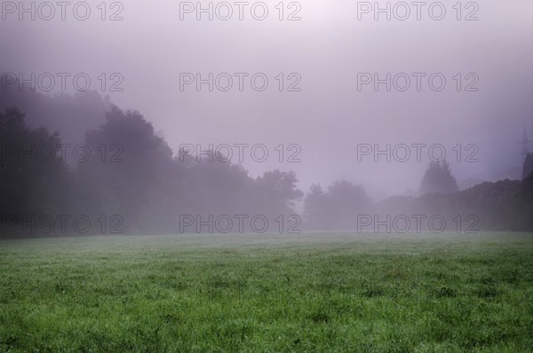 Morning atmosphere with fog