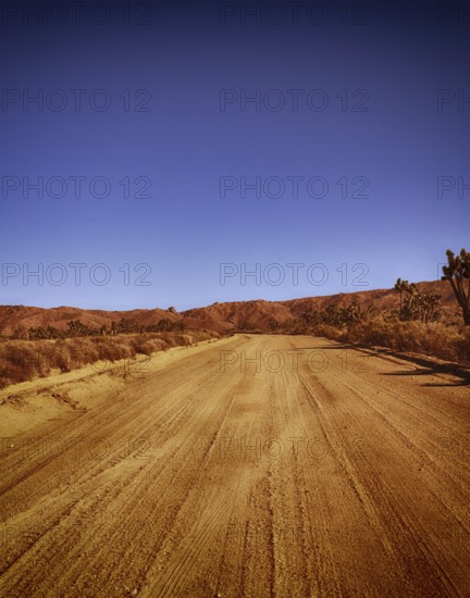 Sandy road through the Californian desert, USA, North America