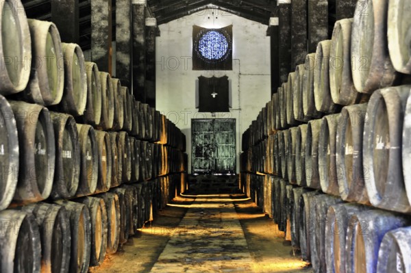 Bodega Pedro Romero, Sanlucar de Barrameda, Cadiz province, rows of wooden barrels in a rustic warehouse, Andalusia, Spain, Europe