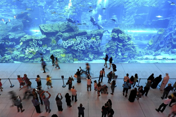 Dubai Aquarium in the Dubai Mall shopping centre, Downtown, Dubai, United Arab Emirates, Asia