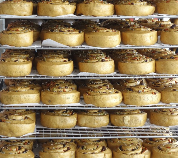 Chinese steamed buns with dried fruits and nuts on cooling racks