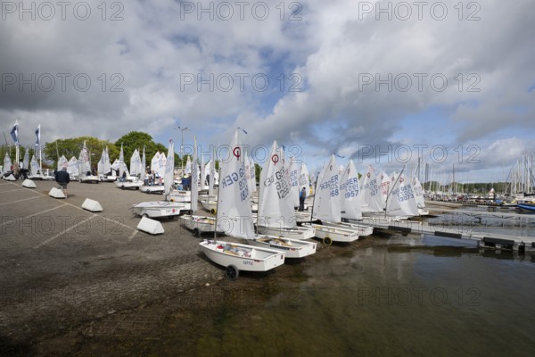 Andreas Dick, Olympic Centre - Schilksee, Kiel, Schleswig Holstein, Before the regatta, all participants and their boats, racing equipment in the harbour in front of jumping into the water, Golden Opti 2025 on 24.05.2025 at the Olympic Centre, Schilksee in Kiel Germany