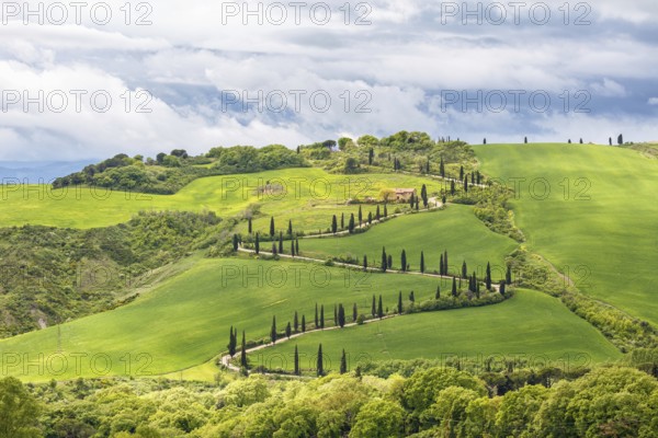 Tuscan rural landscape view with a winding road on a hill