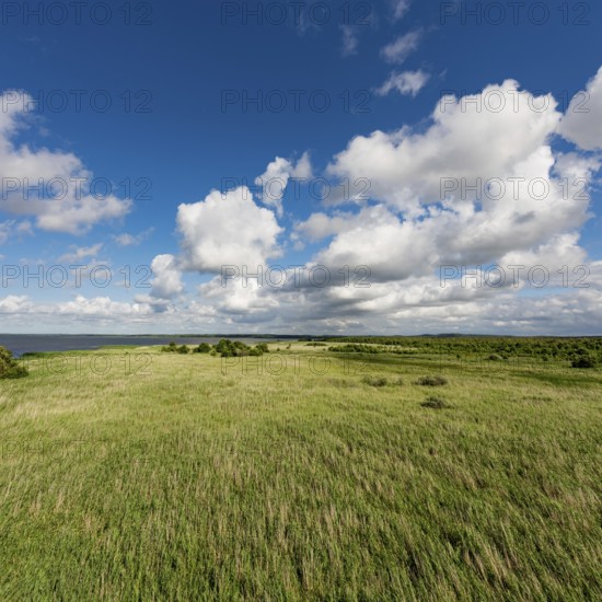 Slowinski landscape