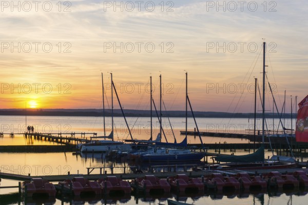 Landscape in Springtime at the Dümmer lake in Germany at sunset