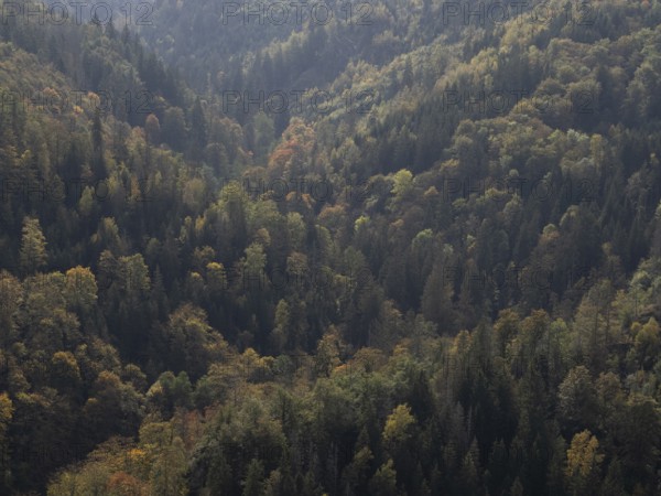 View over the Höllental nature reserve in the Franconian Forest in autumn