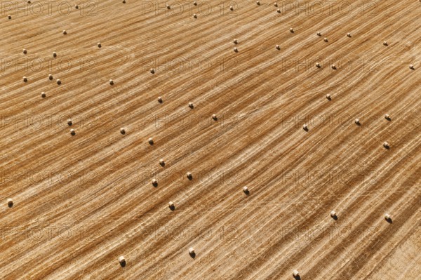 Aerial perspective view of hay bales on agricultural field after harvest. Farm landscape. Drone top view of yellow cut grass striped pattern on field with many velour grasses bales. Dry fodder. Haying