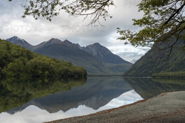 Tranquil lake Gunn in Fiordland National Park, landscape reflecting on the water surface, South Island of New Zealand